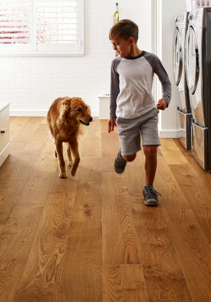 Dog running with kid | Sherm Arnold's Flooring